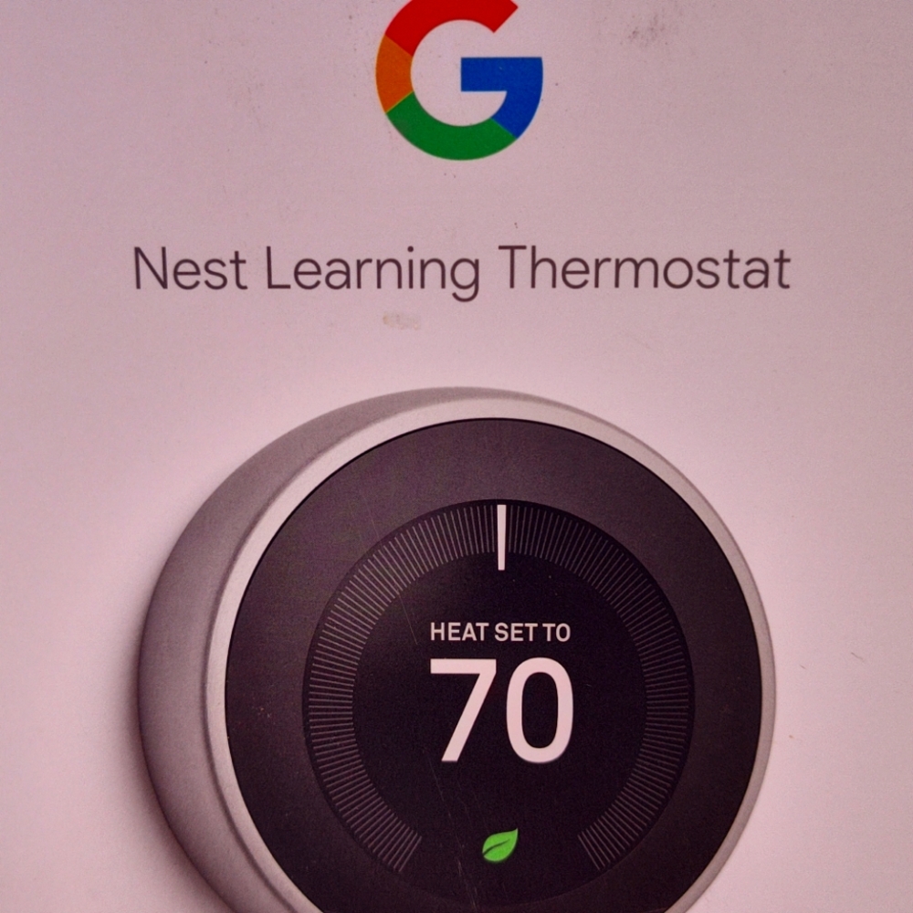 Google Nest Learning